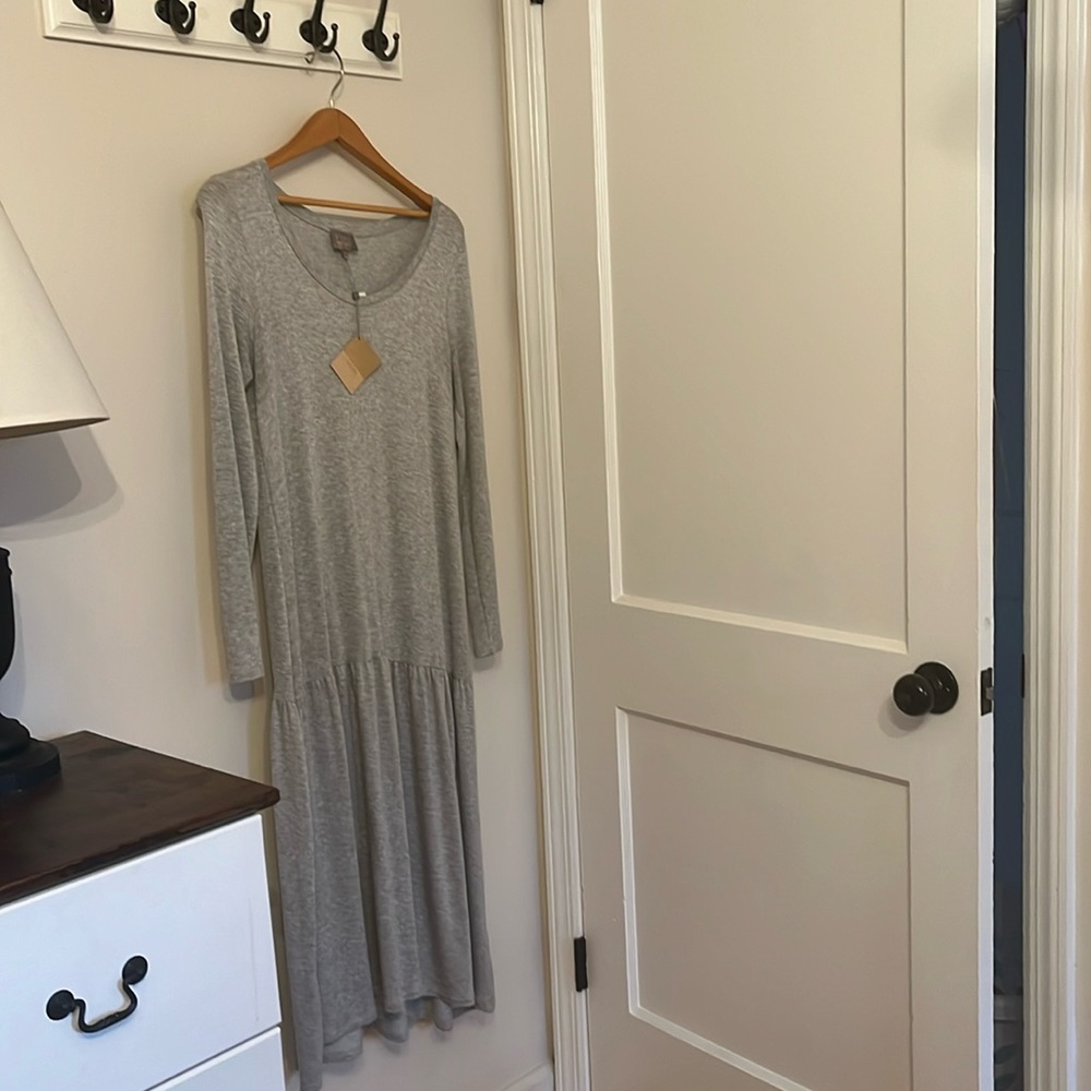 Dual Nature Long grey gray Dress